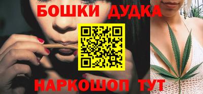 индика Рузаевка